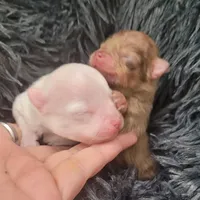 processed/9f3a4937-d8b9-42dd-bc8f-fbdea533ceac/facility/efbcf150-008a-4e90-b38e-3778f5d8cd1f