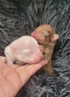 processed/9f3a4937-d8b9-42dd-bc8f-fbdea533ceac/facility/efbcf150-008a-4e90-b38e-3778f5d8cd1f