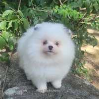 processed/9f3a4937-d8b9-42dd-bc8f-fbdea533ceac/facility/f6eb968f-dec9-4518-be57-936fdb33848f