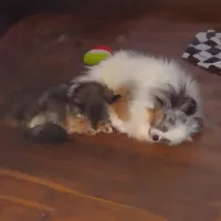 processed/9f3a4937-d8b9-42dd-bc8f-fbdea533ceac/facility/ffbfb4f0-cd34-4776-8f7b-fa1a8a24ed2d