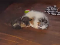 processed/9f3a4937-d8b9-42dd-bc8f-fbdea533ceac/facility/ffbfb4f0-cd34-4776-8f7b-fa1a8a24ed2d