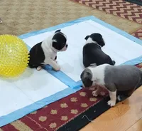 processed/9f4218cd-ef74-46f6-a06f-78153fcfddcb/listing/be6d1034-685c-499c-84b5-0ed873202d71/0feead8c-6d75-479b-b61e-e95f8f407f49