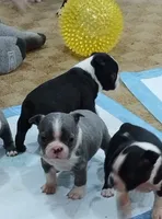 processed/9f4218cd-ef74-46f6-a06f-78153fcfddcb/listing/be6d1034-685c-499c-84b5-0ed873202d71/12385509-ea3d-476e-ad15-6ecc54b7d4cd