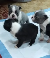 processed/9f4218cd-ef74-46f6-a06f-78153fcfddcb/listing/be6d1034-685c-499c-84b5-0ed873202d71/b3b2ea98-ff86-4567-89d5-f98cf45796a4