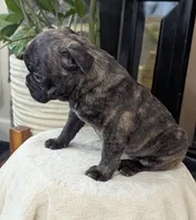 processed/9f543fb5-0ae1-41cd-8a8d-6803b0e3bd58/listing/e5769e08-90c0-4a53-b9dd-8e52dc0d0a8c/16fa6e3e-5847-4a28-bd3c-a305f33c102c