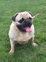 processed/9f543fb5-0ae1-41cd-8a8d-6803b0e3bd58/listing/e5769e08-90c0-4a53-b9dd-8e52dc0d0a8c/18005cc5-a762-4426-8466-42462b0428ae