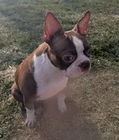 processed/9f543fb5-0ae1-41cd-8a8d-6803b0e3bd58/listing/e5769e08-90c0-4a53-b9dd-8e52dc0d0a8c/505ef9af-bc7d-4ebf-bcc1-01c58801d645