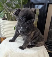 processed/9f543fb5-0ae1-41cd-8a8d-6803b0e3bd58/listing/e5769e08-90c0-4a53-b9dd-8e52dc0d0a8c/6415a14d-b4a1-42c8-9d4b-055c66951f48