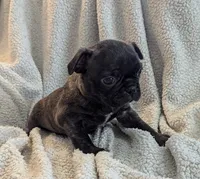 processed/9f543fb5-0ae1-41cd-8a8d-6803b0e3bd58/listing/e5769e08-90c0-4a53-b9dd-8e52dc0d0a8c/9d02dcec-8034-43b1-be7b-3c7ccebeb684