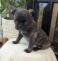 processed/9f543fb5-0ae1-41cd-8a8d-6803b0e3bd58/listing/e5769e08-90c0-4a53-b9dd-8e52dc0d0a8c/b8909aba-51dd-445c-abe6-0a94fec1a191