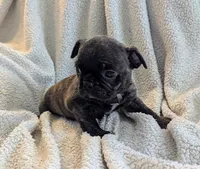 processed/9f543fb5-0ae1-41cd-8a8d-6803b0e3bd58/listing/e5769e08-90c0-4a53-b9dd-8e52dc0d0a8c/bf0033eb-0a70-4729-8eea-19b20661bf30