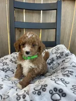 processed/9f583d88-8355-4ae8-a995-b6cda40133ae/listing/6ae0264f-1027-4ee9-be52-5f8909a954ad/2b3f99da-e9bf-4333-9e61-b696aa379ae0