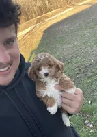 processed/9f583d88-8355-4ae8-a995-b6cda40133ae/listing/6ae0264f-1027-4ee9-be52-5f8909a954ad/2d2a197e-ff5c-4e1a-a1ad-c1a697bcb947