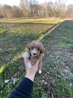 processed/9f583d88-8355-4ae8-a995-b6cda40133ae/listing/6ae0264f-1027-4ee9-be52-5f8909a954ad/44550228-183e-433a-b54a-d07a802aa9b5