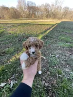 processed/9f583d88-8355-4ae8-a995-b6cda40133ae/listing/6ae0264f-1027-4ee9-be52-5f8909a954ad/7ba3a1ca-b506-4938-b04f-5e0c70affdab