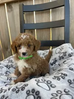 processed/9f583d88-8355-4ae8-a995-b6cda40133ae/listing/6ae0264f-1027-4ee9-be52-5f8909a954ad/fc436fcf-bd3b-493c-af44-0d7be13a3829