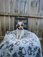 processed/9f583d88-8355-4ae8-a995-b6cda40133ae/listing/df674265-d4c1-44fe-a830-d1bef626395d/34567d47-6598-41c7-9c69-be7472bbfc6c