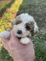 processed/9f583d88-8355-4ae8-a995-b6cda40133ae/listing/df674265-d4c1-44fe-a830-d1bef626395d/68215f50-d96a-4d6a-af66-71fe7df5666d