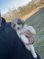 processed/9f583d88-8355-4ae8-a995-b6cda40133ae/listing/df674265-d4c1-44fe-a830-d1bef626395d/b3b8e1ea-ed19-4fb5-ad89-8d7f2428daa8