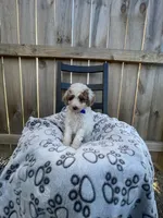 processed/9f583d88-8355-4ae8-a995-b6cda40133ae/listing/df674265-d4c1-44fe-a830-d1bef626395d/f85cde99-04a6-4316-911d-223c69861eb3