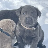 processed/9f5aae4b-292a-4ade-84b2-94ebae79421d/facility/03f5fbbc-340a-4670-813f-3be79b6af93d