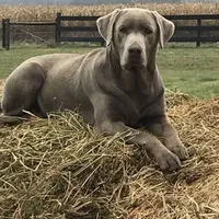 processed/9f5aae4b-292a-4ade-84b2-94ebae79421d/facility/1564e40d-5b2a-463b-a944-96f280198df0