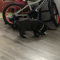 processed/9f5aae4b-292a-4ade-84b2-94ebae79421d/facility/646d281f-21ee-41a9-af80-e7f60df9280d