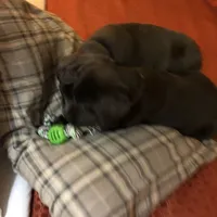 processed/9f5aae4b-292a-4ade-84b2-94ebae79421d/facility/7c8f66e7-2be5-4612-a8e2-1d0dc760e993