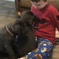 processed/9f5aae4b-292a-4ade-84b2-94ebae79421d/facility/c66eca7f-a099-4e6a-b1a2-9b73cebaaa5a