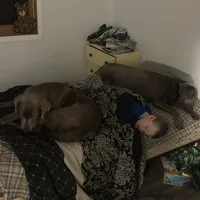 processed/9f5aae4b-292a-4ade-84b2-94ebae79421d/facility/cfadbe87-cb0c-4a27-9a42-4f02f645195c