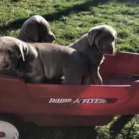 processed/9f5aae4b-292a-4ade-84b2-94ebae79421d/facility/d57ae157-0a23-40bf-af83-41c2c3e87f22