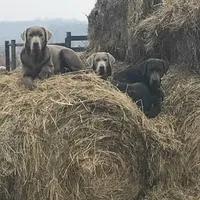 processed/9f5aae4b-292a-4ade-84b2-94ebae79421d/facility/ffc4f5f3-39b9-4adc-acb6-b6a3f60ae5cf