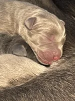 processed/9f5aae4b-292a-4ade-84b2-94ebae79421d/listing/956f732d-a926-4038-b605-e05f3a1502cc/1f71c6c6-885e-403b-9dbe-ba3e987b6c8e