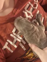 processed/9f5aae4b-292a-4ade-84b2-94ebae79421d/listing/956f732d-a926-4038-b605-e05f3a1502cc/2810157f-00c8-465f-ab08-132b563fd9b9