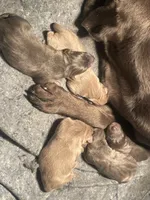 processed/9f5aae4b-292a-4ade-84b2-94ebae79421d/listing/956f732d-a926-4038-b605-e05f3a1502cc/3f3696ed-4982-4214-87f1-908bcbfee0d6