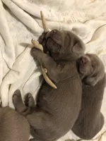 processed/9f5aae4b-292a-4ade-84b2-94ebae79421d/listing/956f732d-a926-4038-b605-e05f3a1502cc/98a9b538-9b86-4b48-bb61-db311cde0d4f