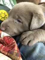 processed/9f5aae4b-292a-4ade-84b2-94ebae79421d/listing/956f732d-a926-4038-b605-e05f3a1502cc/a9559c8b-cd09-4e7a-b5f1-5290c2f01996