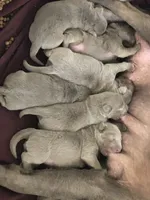 processed/9f5aae4b-292a-4ade-84b2-94ebae79421d/listing/956f732d-a926-4038-b605-e05f3a1502cc/c77afb77-46d7-4ca9-8063-7f976a194862