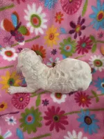 Chloe, a female Poodle - Standard  for sale in Puryear, TN – Photo 2 of 2