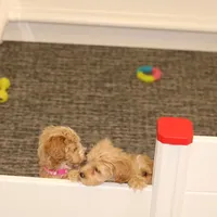 processed/9f65c381-b93b-47a0-8be7-5d8a093b68fb/facility/18b3e5df-eddc-44c4-9dbe-82a2944c6f30