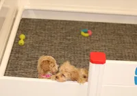 processed/9f65c381-b93b-47a0-8be7-5d8a093b68fb/facility/18b3e5df-eddc-44c4-9dbe-82a2944c6f30