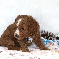 processed/9f65c381-b93b-47a0-8be7-5d8a093b68fb/facility/23034e5e-2a13-494b-b077-3b68d476026e