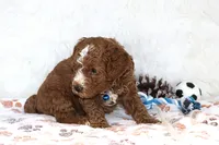 processed/9f65c381-b93b-47a0-8be7-5d8a093b68fb/facility/23034e5e-2a13-494b-b077-3b68d476026e