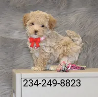 processed/9f65c381-b93b-47a0-8be7-5d8a093b68fb/facility/2cfca9ed-52c7-474a-bc0f-158c850115d2