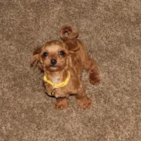 processed/9f65c381-b93b-47a0-8be7-5d8a093b68fb/facility/35d73b1e-2ccc-4ed1-8caf-b820881e686f