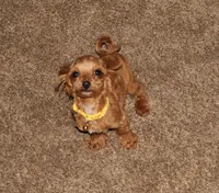 processed/9f65c381-b93b-47a0-8be7-5d8a093b68fb/facility/35d73b1e-2ccc-4ed1-8caf-b820881e686f