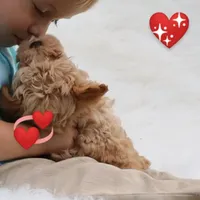 processed/9f65c381-b93b-47a0-8be7-5d8a093b68fb/facility/3c73ebf0-ff00-492a-b7a5-f58a6b56c0d1