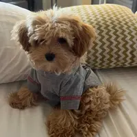 processed/9f65c381-b93b-47a0-8be7-5d8a093b68fb/facility/4d89df24-daf9-4f8d-8a43-97088cf38519