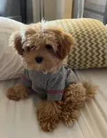 processed/9f65c381-b93b-47a0-8be7-5d8a093b68fb/facility/4d89df24-daf9-4f8d-8a43-97088cf38519