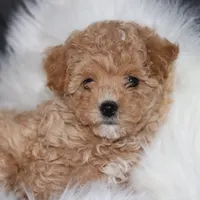 processed/9f65c381-b93b-47a0-8be7-5d8a093b68fb/facility/9d7825ff-3fc7-493d-a5da-2ec381d967e7